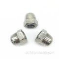 Aço inoxidável 304 Hex Hex Head Dome Nut